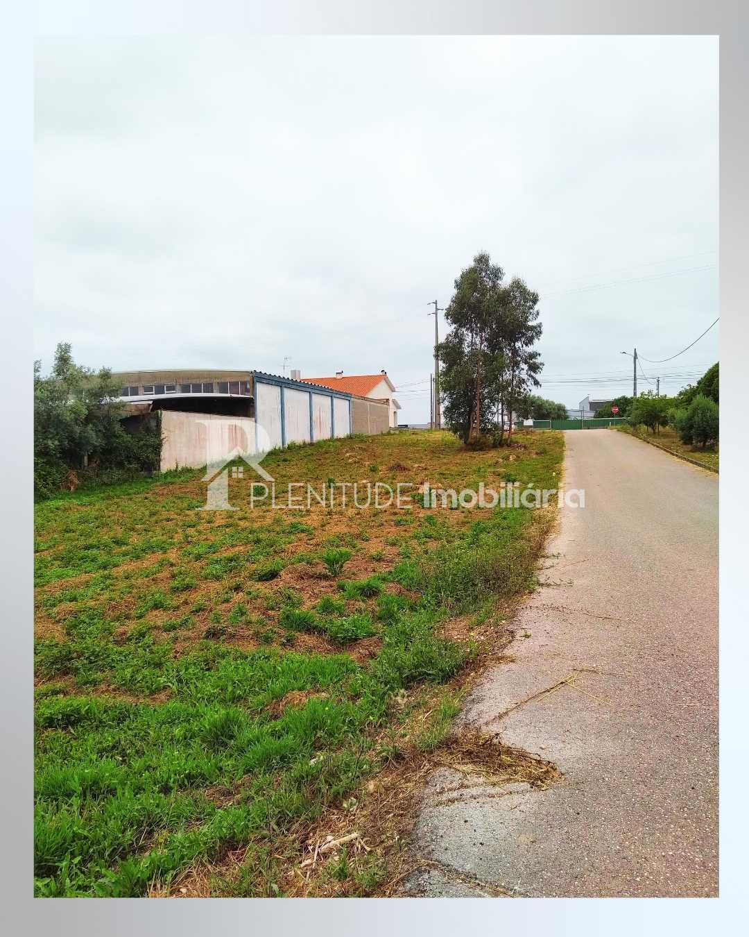 Terreno com Vista e Acesso Fácil – Bajouca, Leiria
