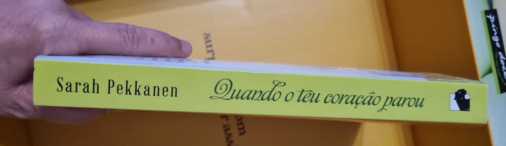 Quando o teu Coração Parou de Sarah Pekkanen