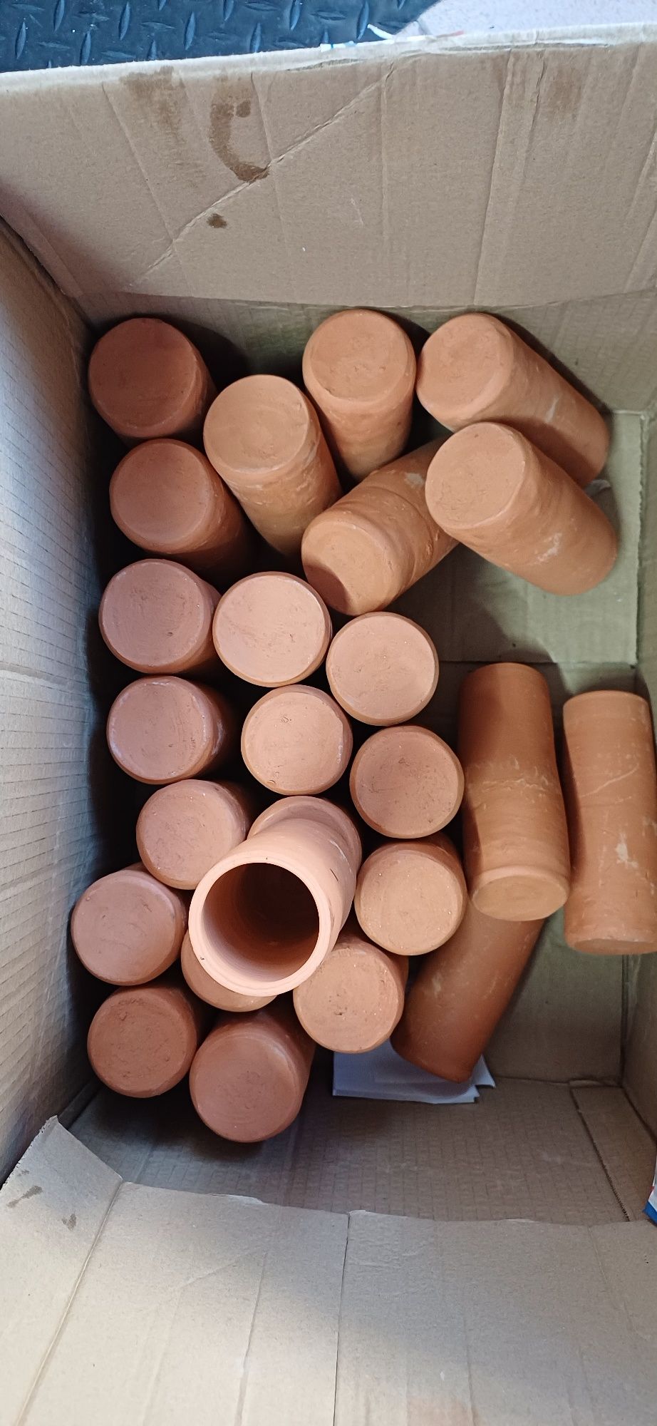 Tocas para ancistrus