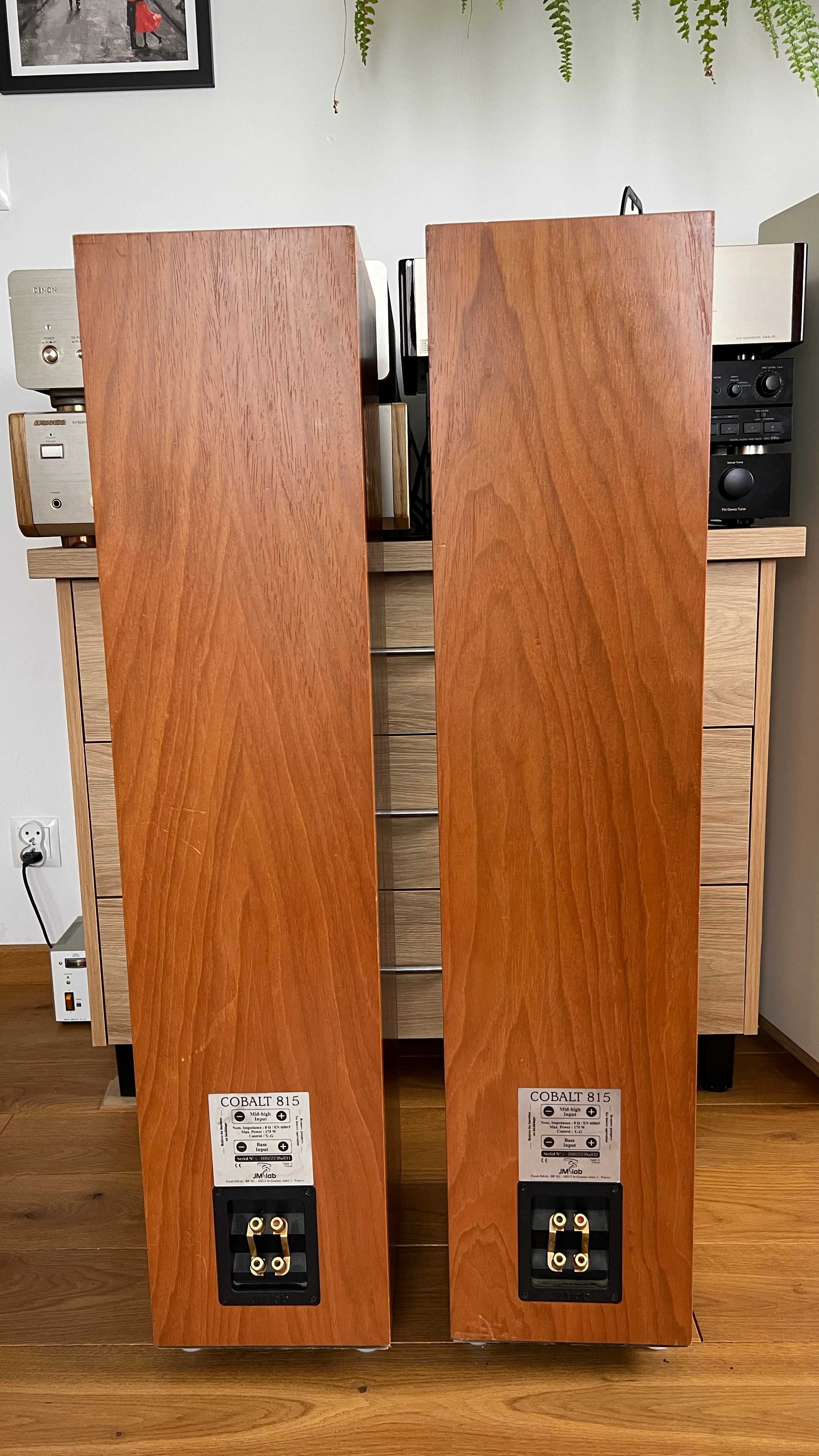 Kolumny podłogowe Focal JM Lab Cobalt 815