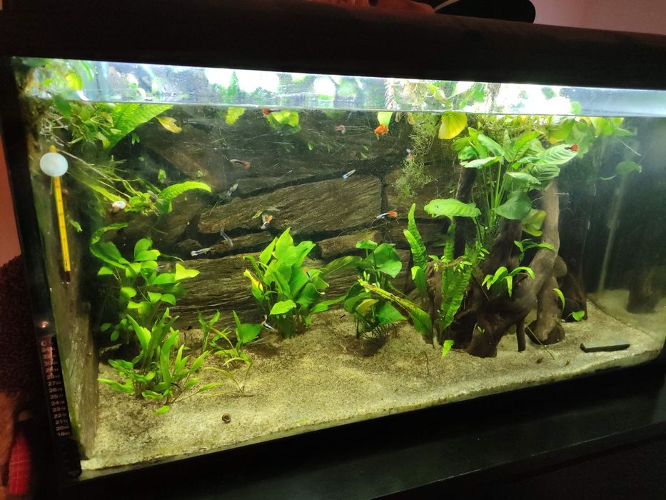 Aquario 220L c/filtro