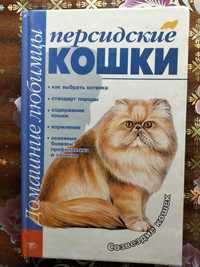 Персидские кошки