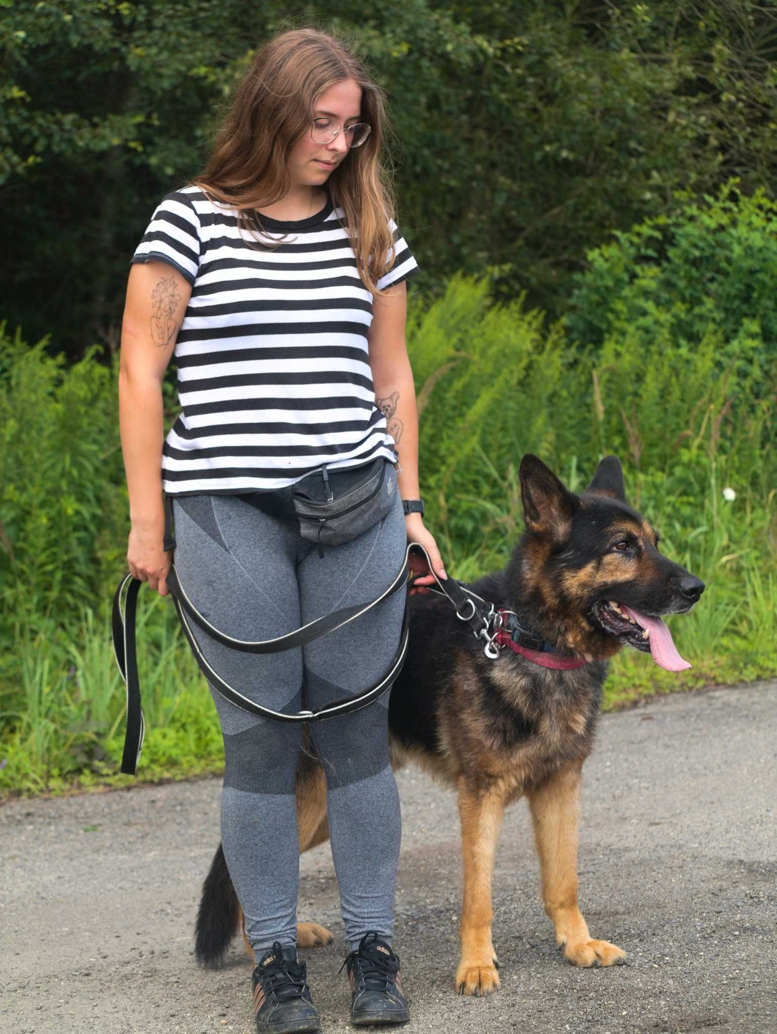 Hades - uroczy psiak, którego nikt nie dostrzega - do adopcji.