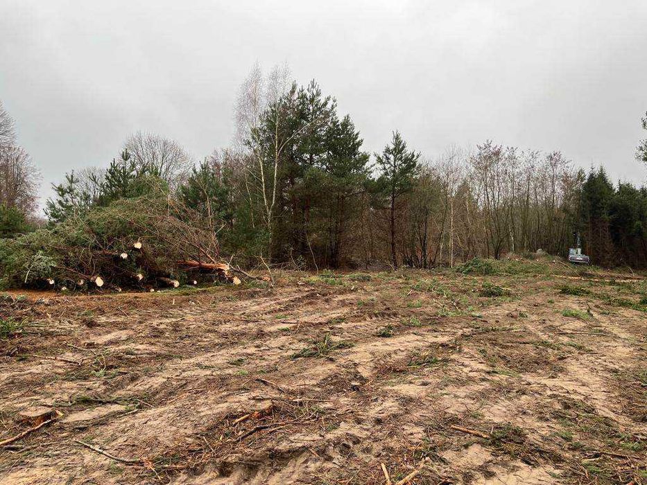 Wycinka drzew, czyszczenie działek, karczowanie, wycinka sadow