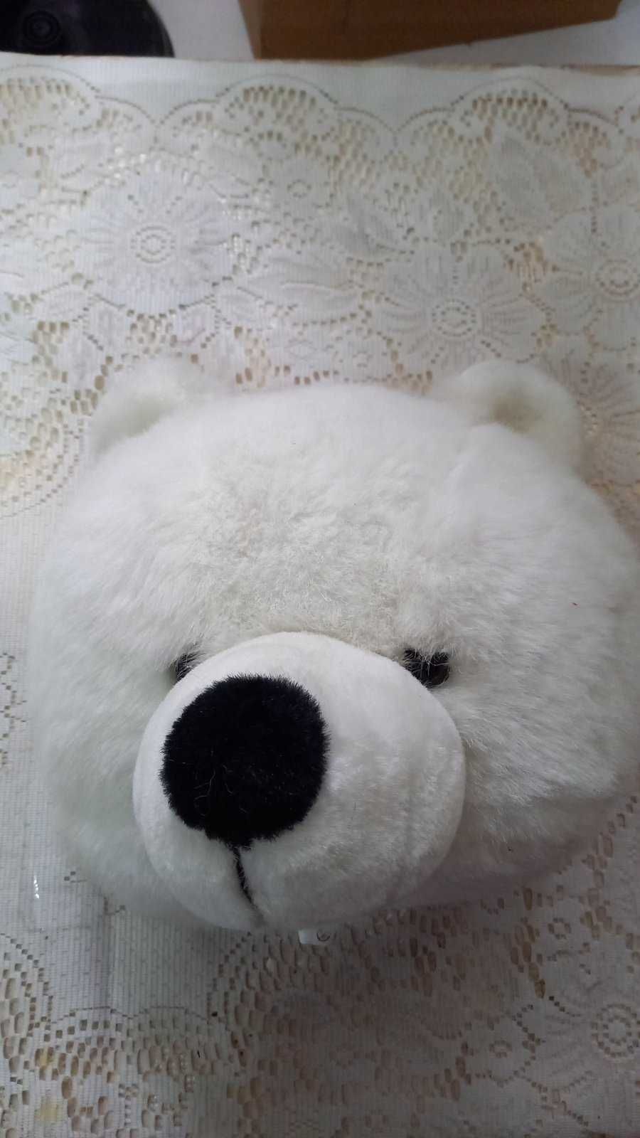 Голова білого ведмедя