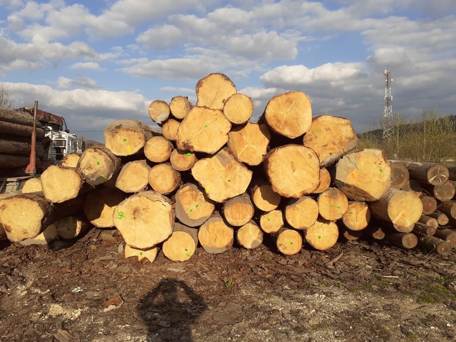 Drewno świeże tartaczne świerk +50 , dłużyca z LP