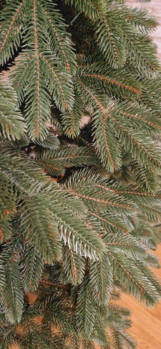 Ялинка штучна лита 1,8м Бельгійська Преміум Елка литая искусственная