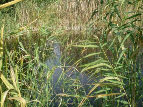 продам земельный участок