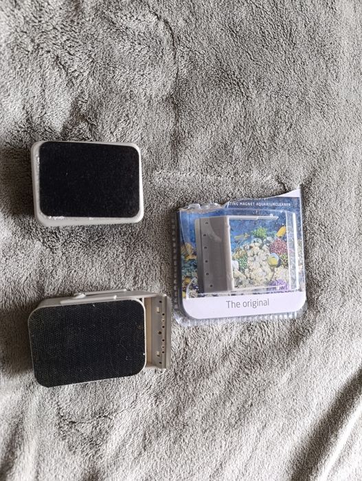 Czyscik Mag D-D morskie