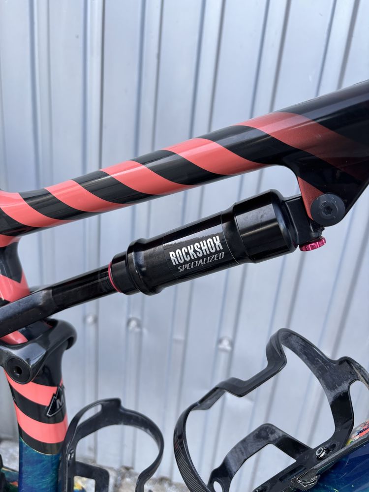 Specialized epic sworks axs