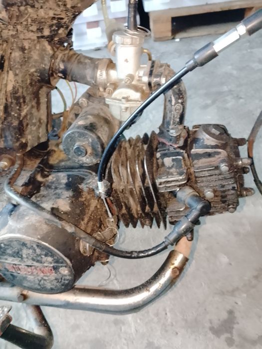 Продам альфу мустанг є торг