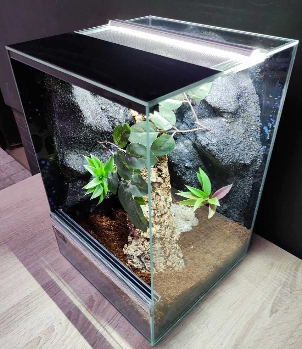 Terrarium szklane nr37 30/30/45 dla gekona orzęsionego, żab DOSTĘPNE