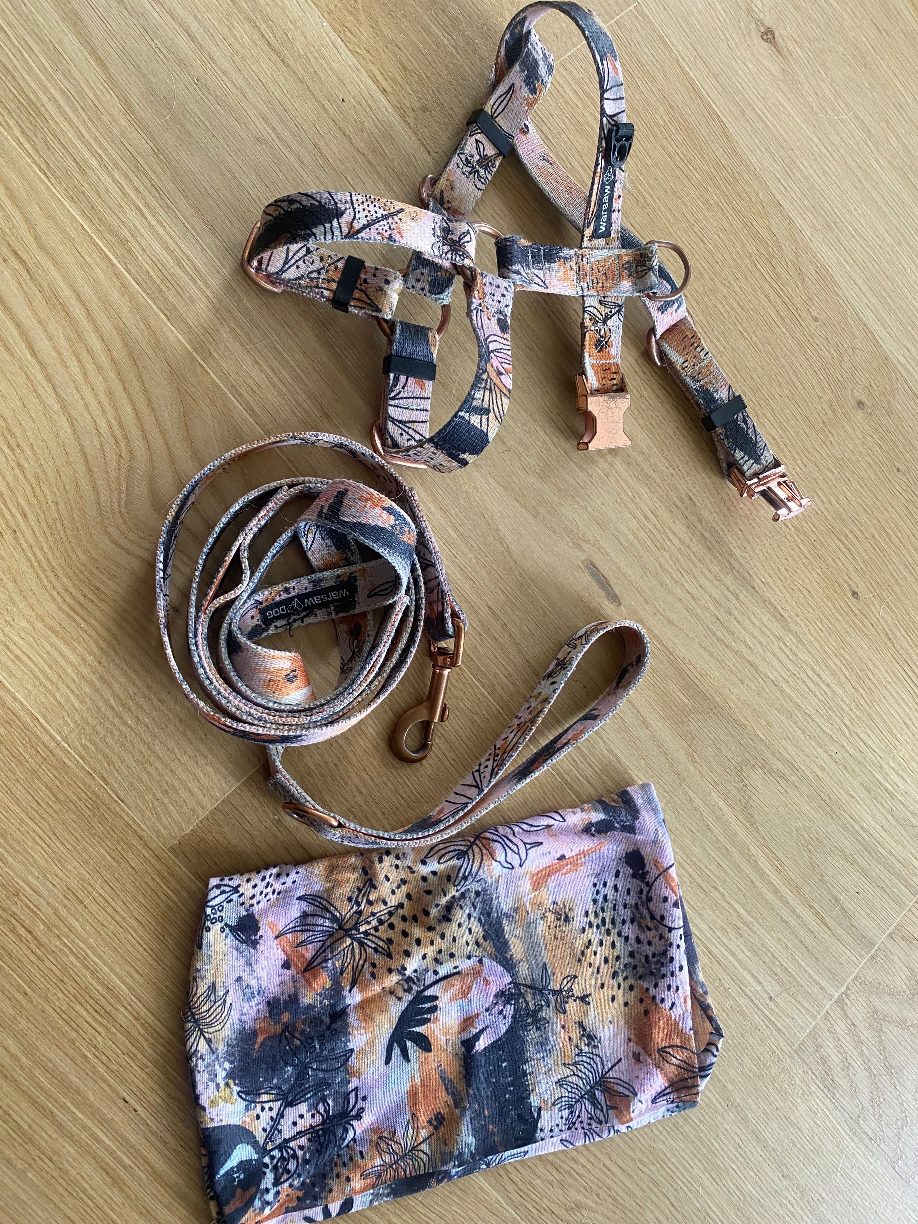 smycz, szelki i snood Warsaw Dog - rozmiar S