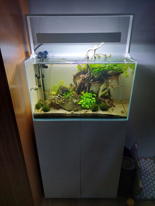 Aquael ultrascape 60 białe z szafką