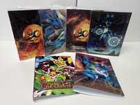 Pokémon Album 240 cartas NOVO
