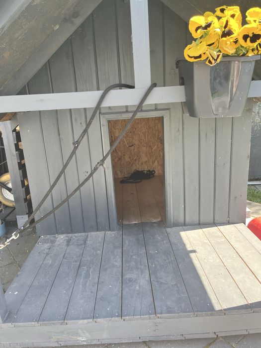 Buda dla dużego psa