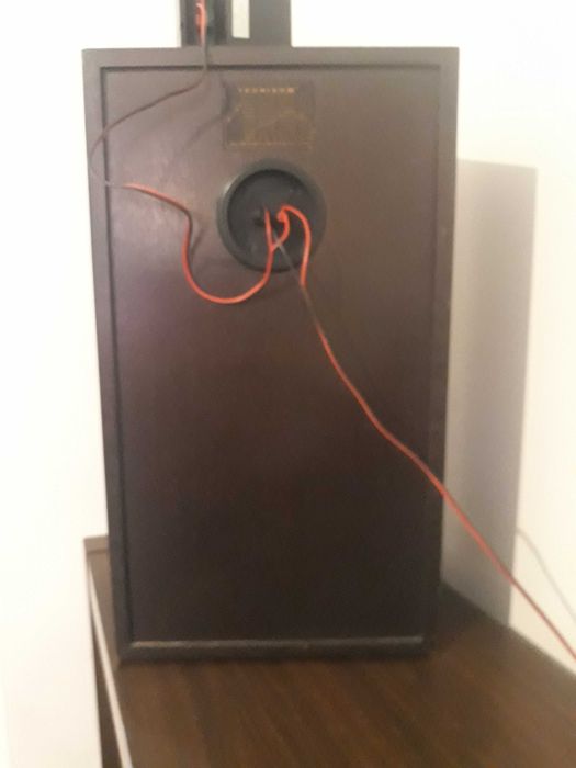 1 Coluna de som Tecnison 100w