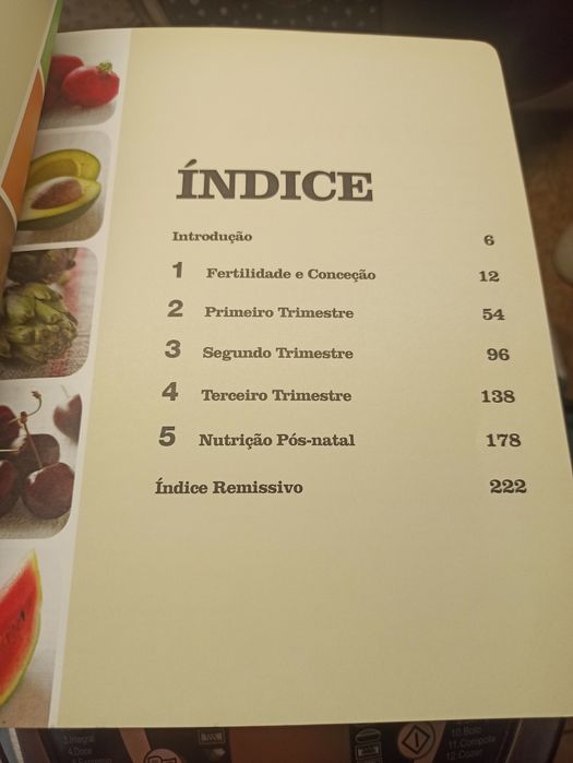Livro "100 melhores alimentos para a gravidez"