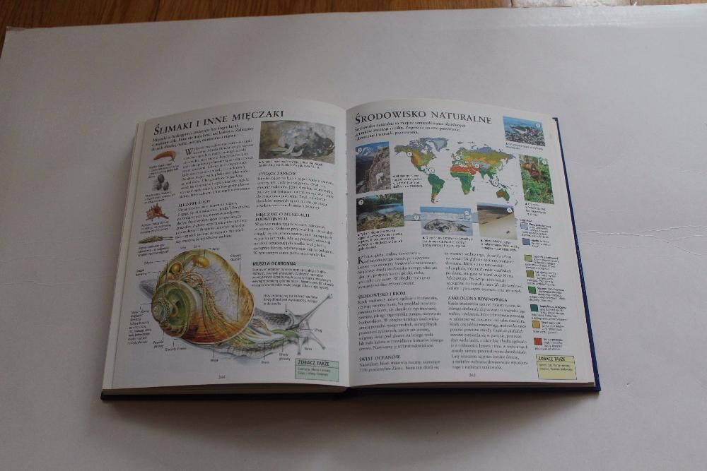 Podręczna encyklopedia ucznia