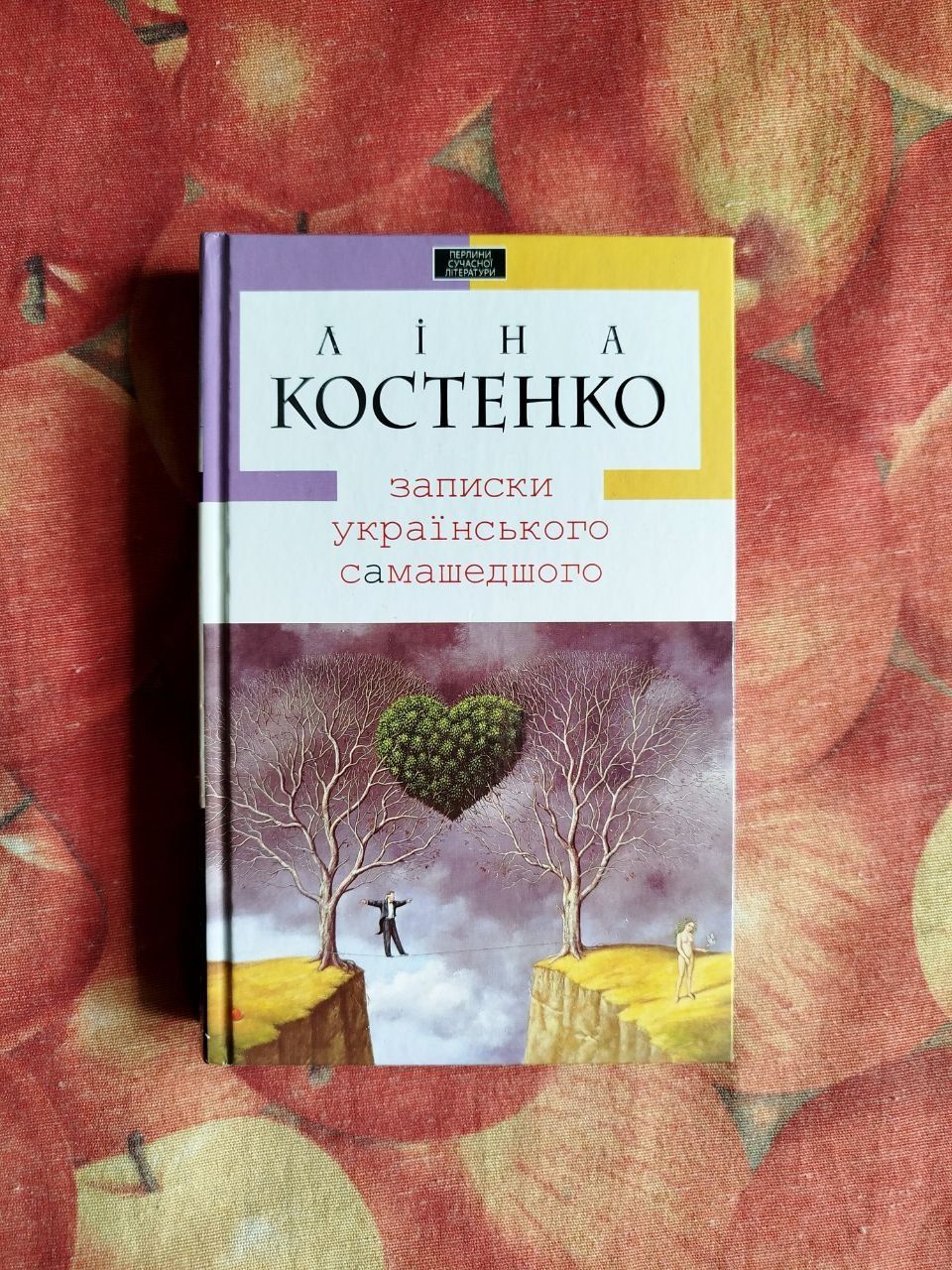 Ліна Костенко Записки українського самашедшого книга книжка