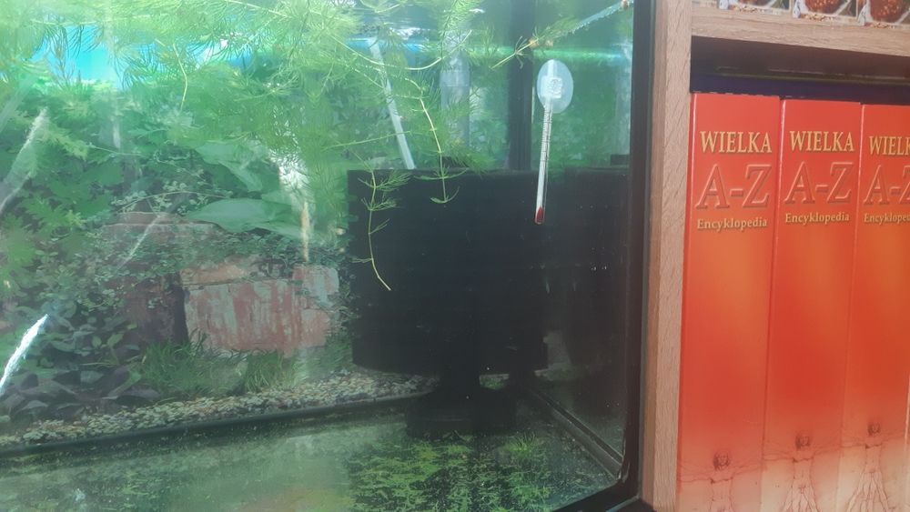Sprzedam na terytorium lub inne zastosowanie