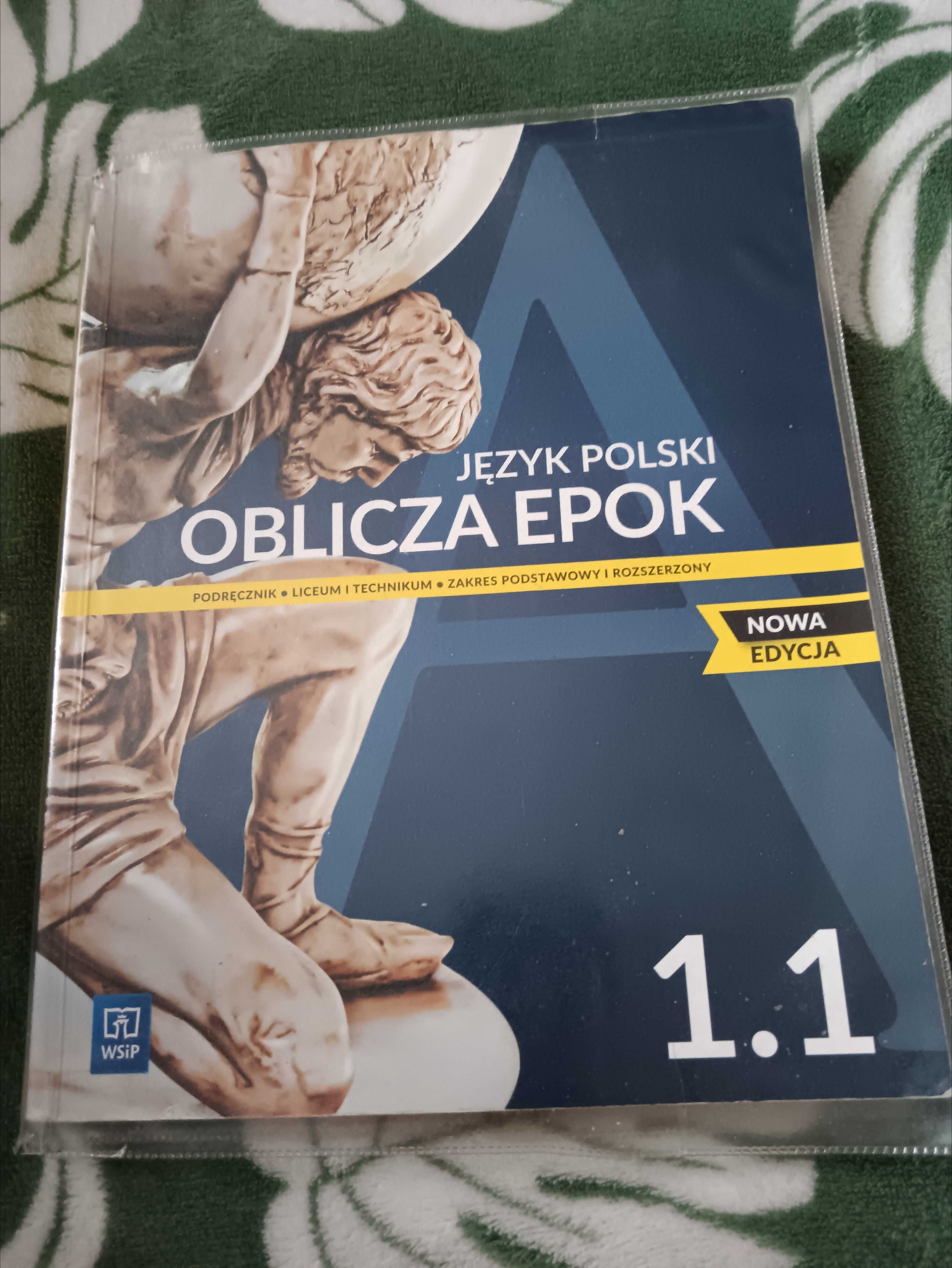 Podręcznik j.polski 1 klasa technikum