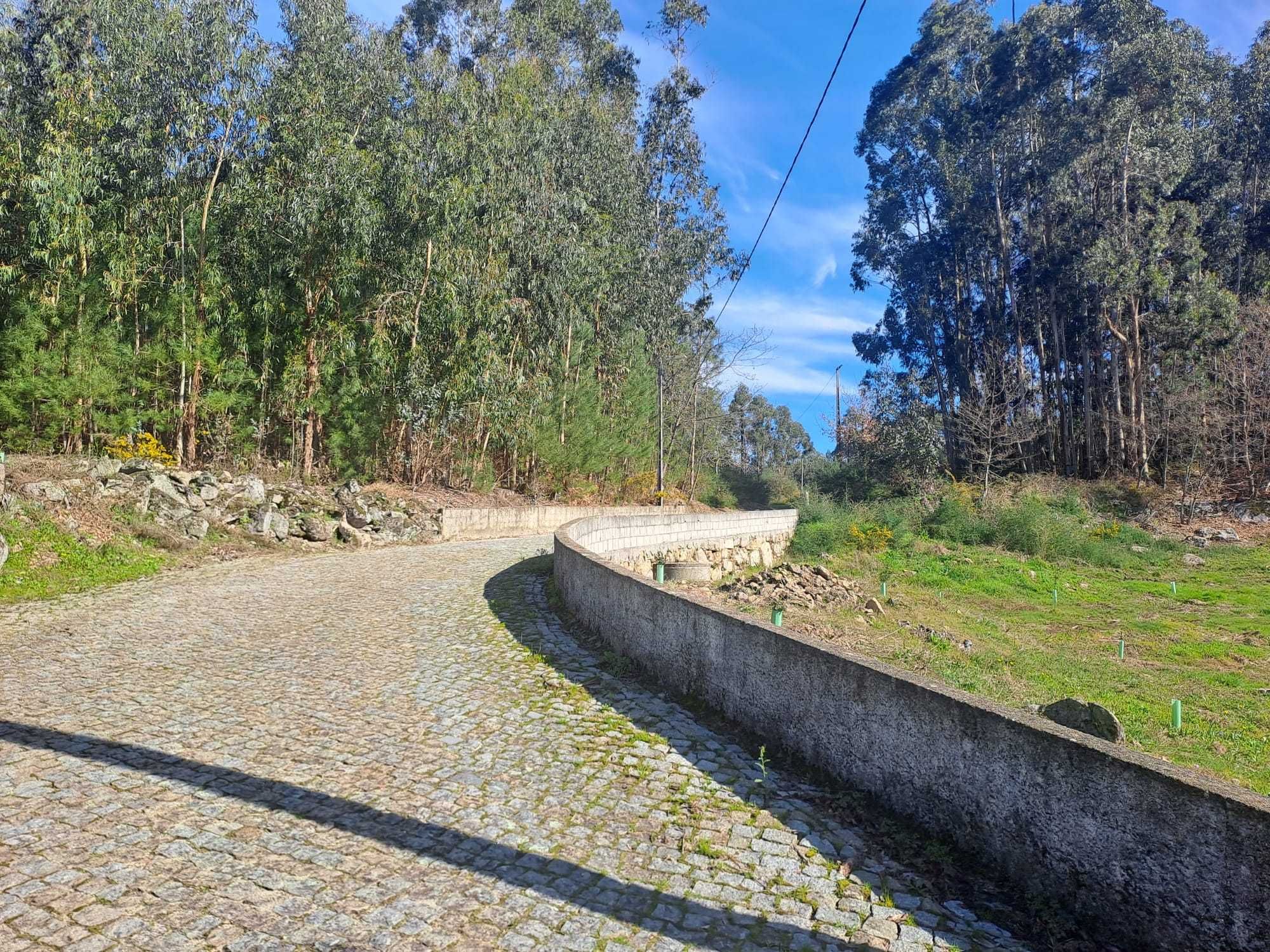 Moradia T4 e 5.000m terreno Vila Cova-Penafiel