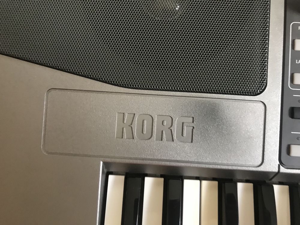 Професійний самограй Korg PA900 з крутим кейсом