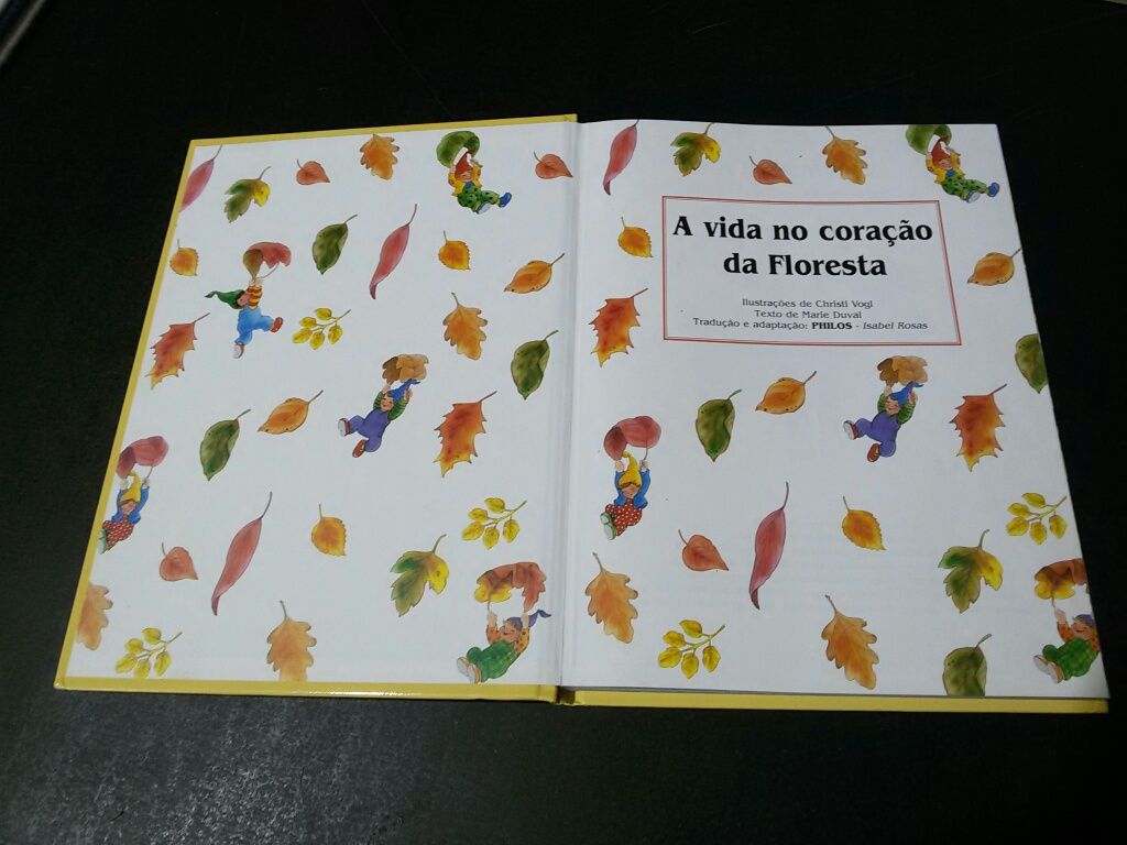 A vida no coração da Floresta (2001)