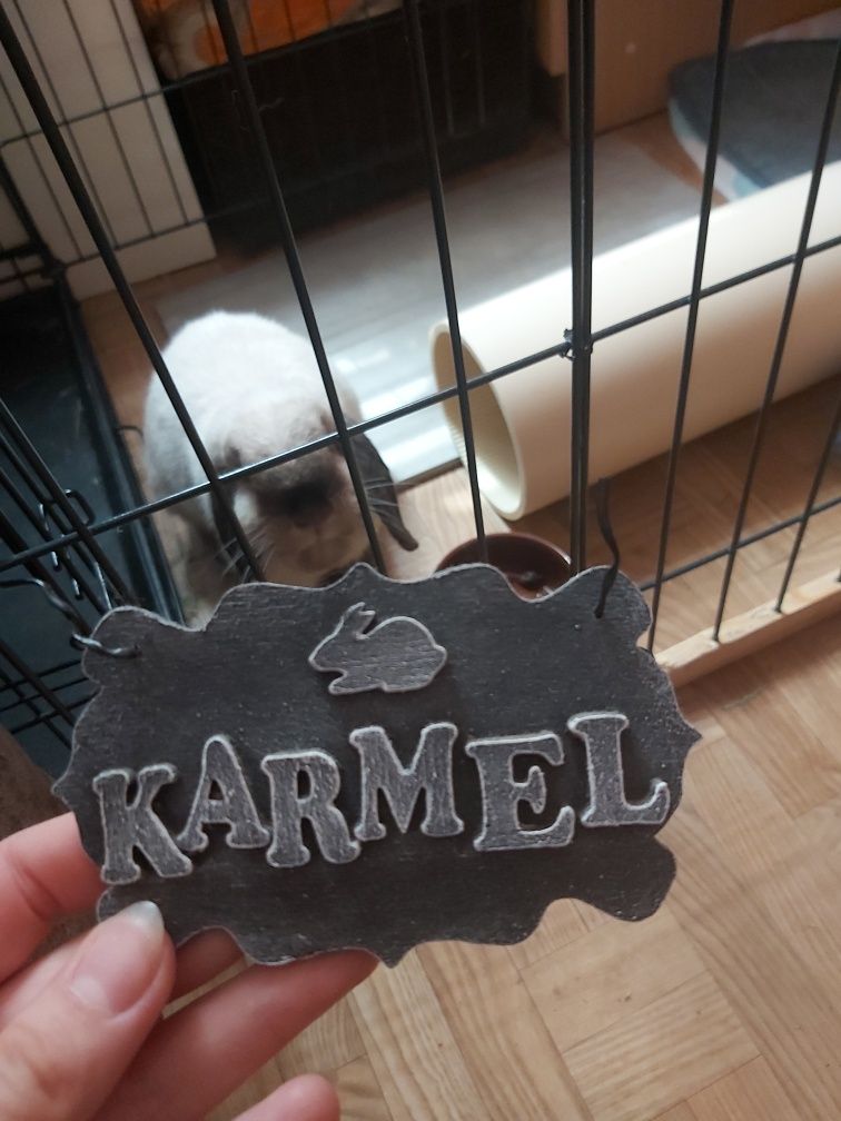 Tabliczka imienna dla królika KARMEL