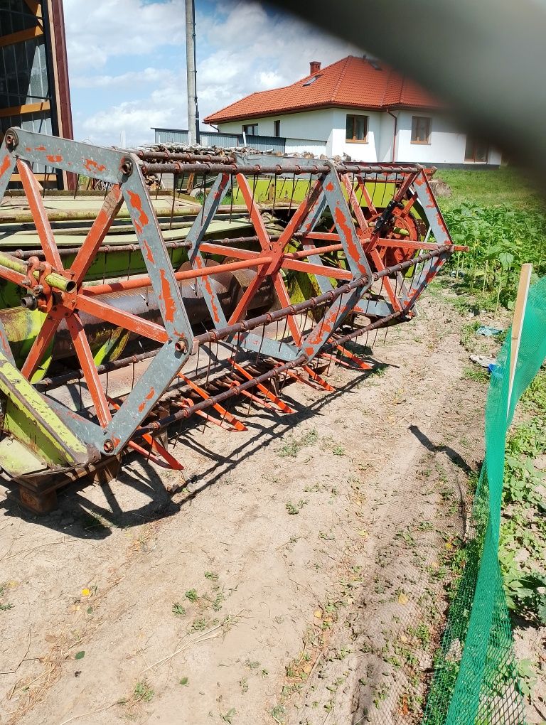 Heder Claas mercator consul