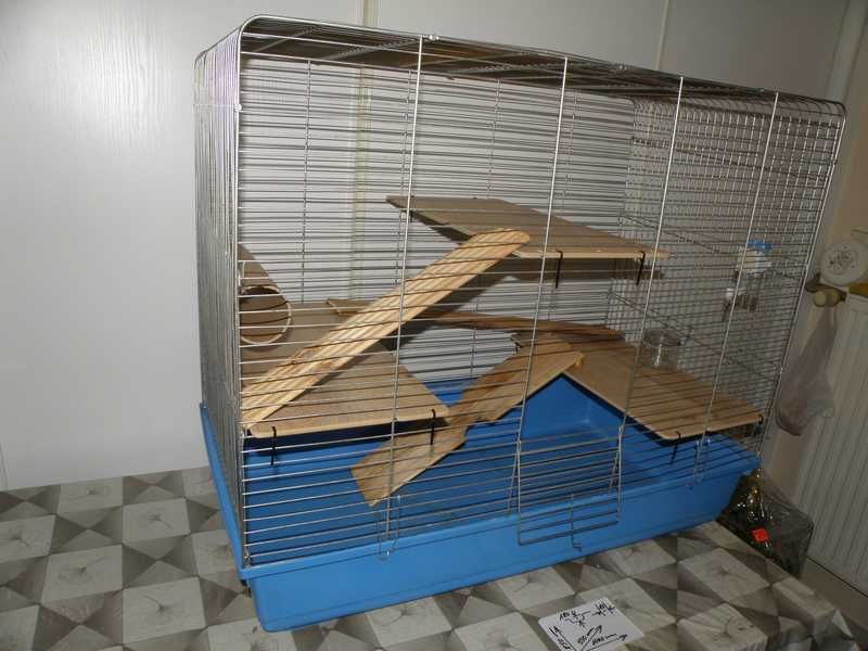 Obszerna klatka "100" szynszyl itp - Wrocław