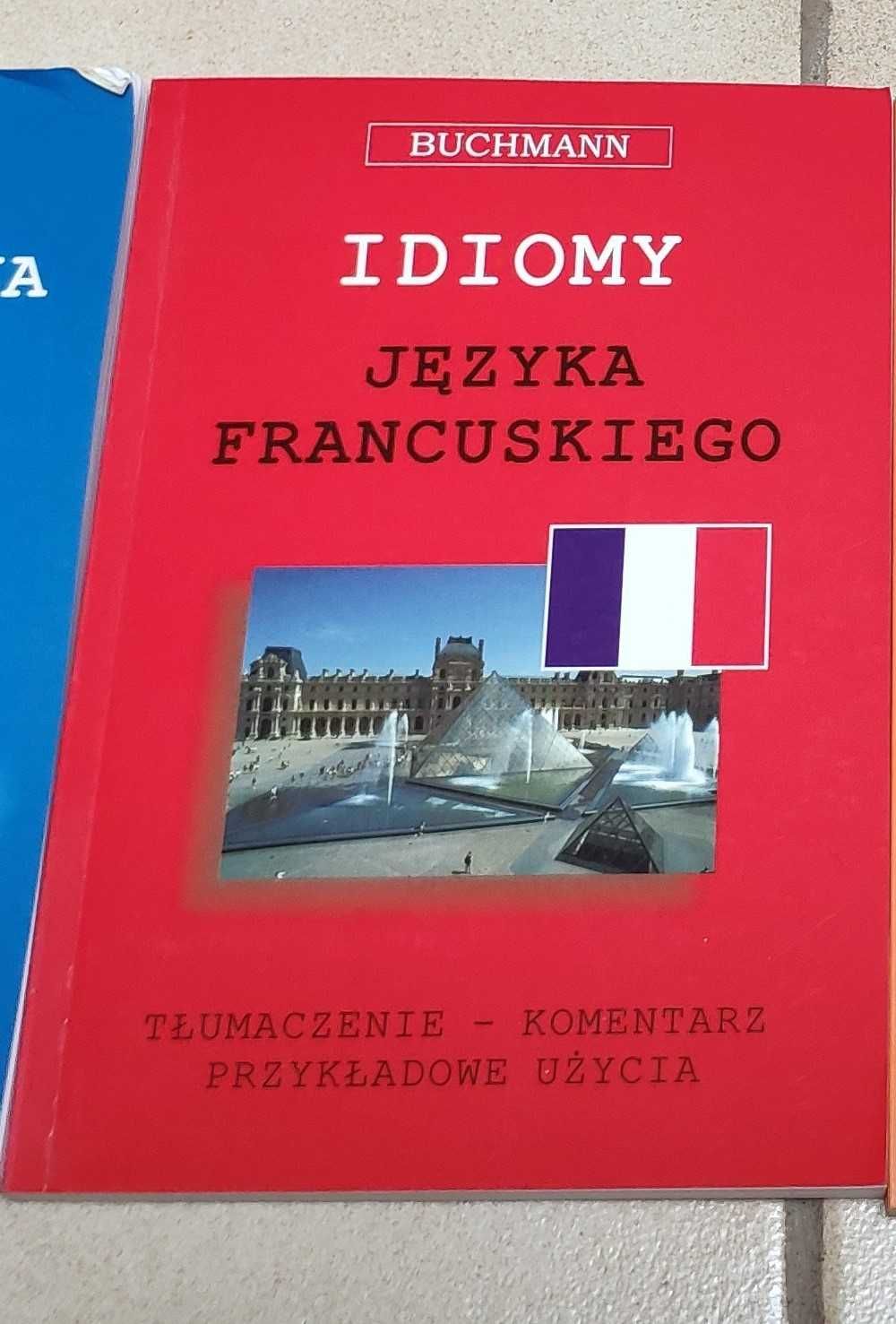 Książka idiomy i korespondencja język francuski