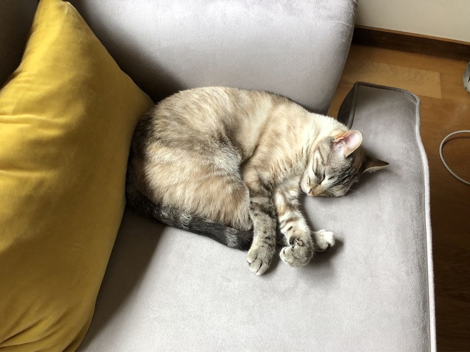Vendo sofá cinzento - ótimo estado
