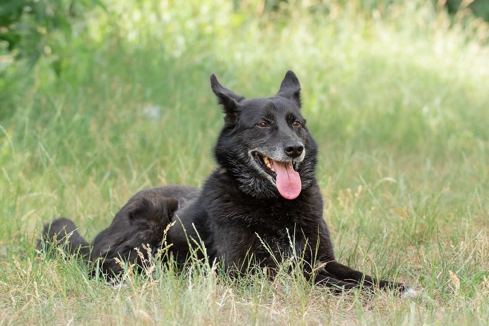 Зара шукає родину