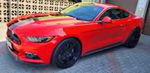 Ford Mustang Ford Mustang Gt 5.0 Polecam