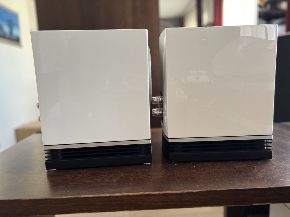 Fyne Audio F500 white gloss - Białe Głośniki podstawkowe połysk - para