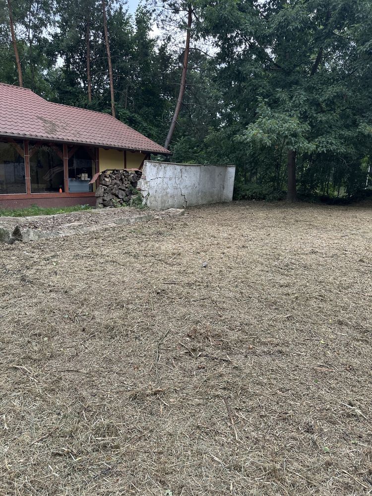 Koszenie karczowanie trawy, czyszczenie kostki brukowej, sprzątanie.