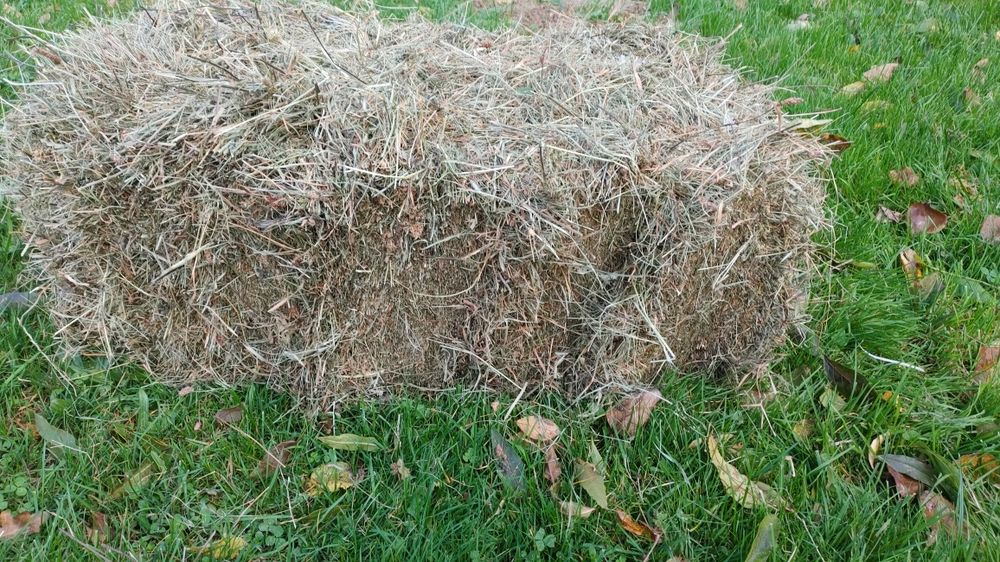 Siano Słoma w kostkach