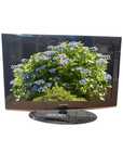 Telewizor SAMSUNG 32" LE32C450E1  z pilotem