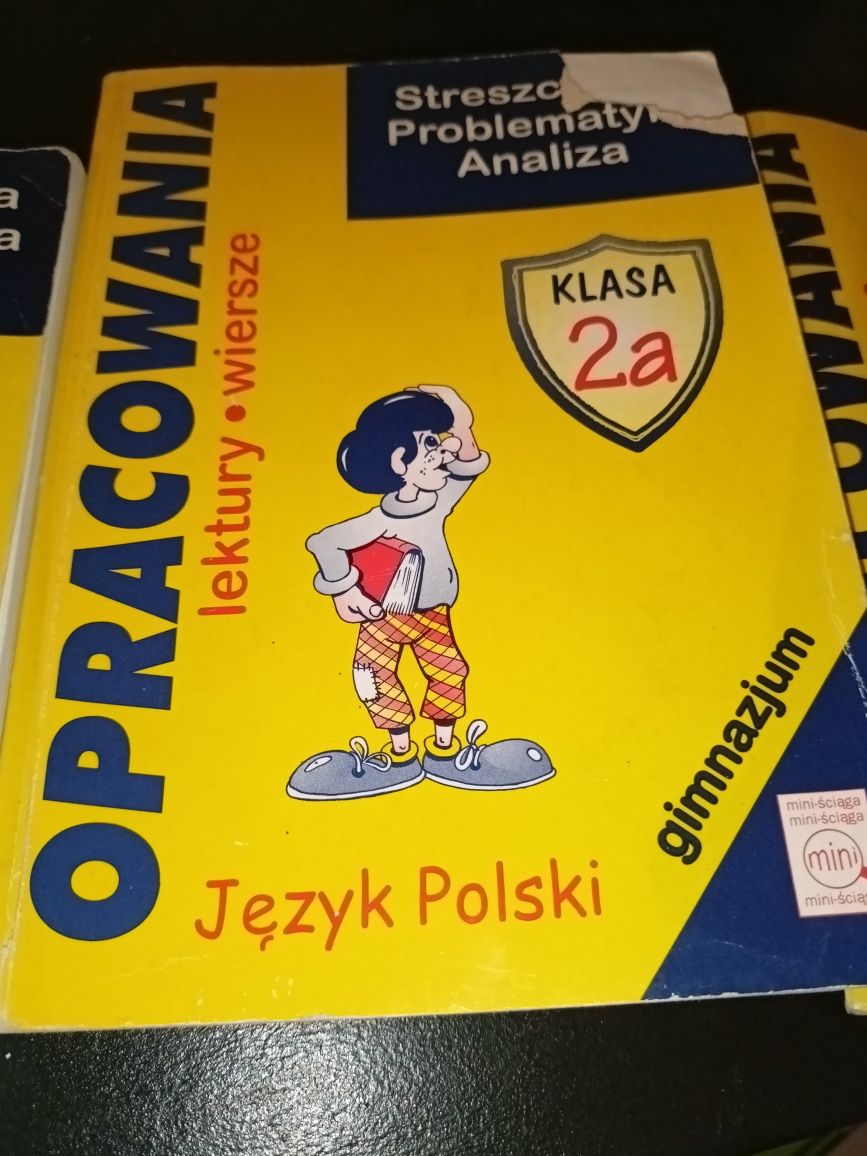 Opracowania lektur język polski