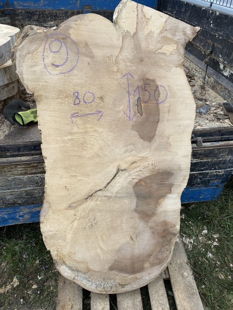 Plastry drewniany Klona  średnica 100 cm