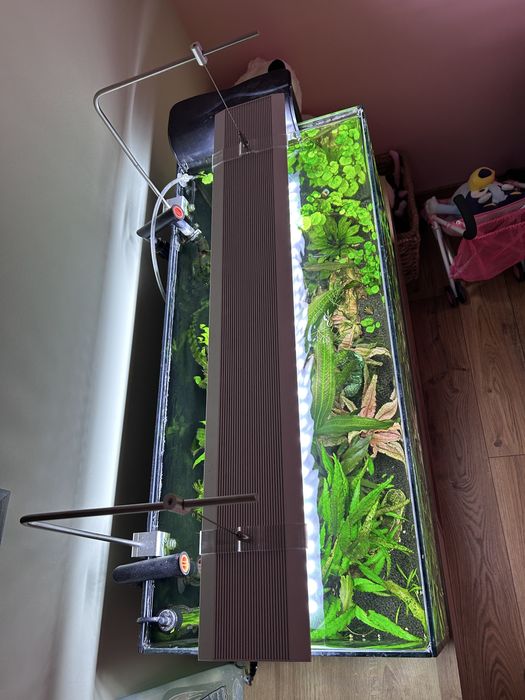Akwarium 112l 80cm kompletny zestaw oswietlenie Chichiros wyposazenie