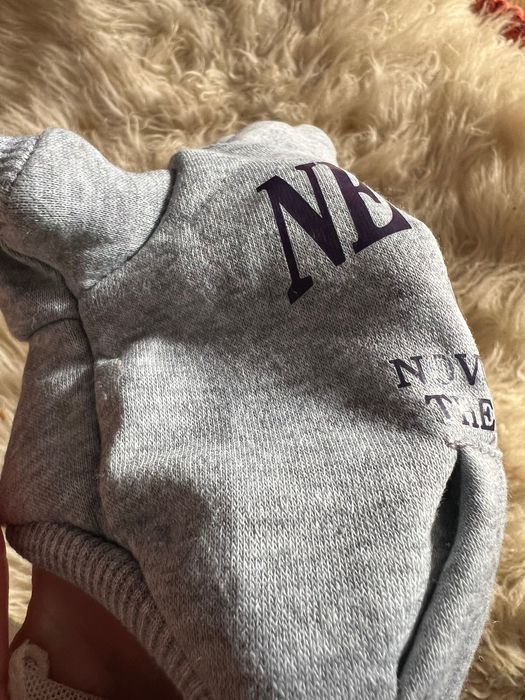 Світшот для собаки new york