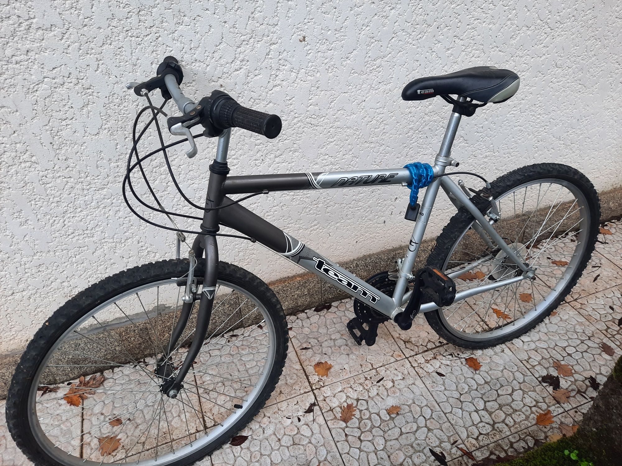 Bicicleta Team R40