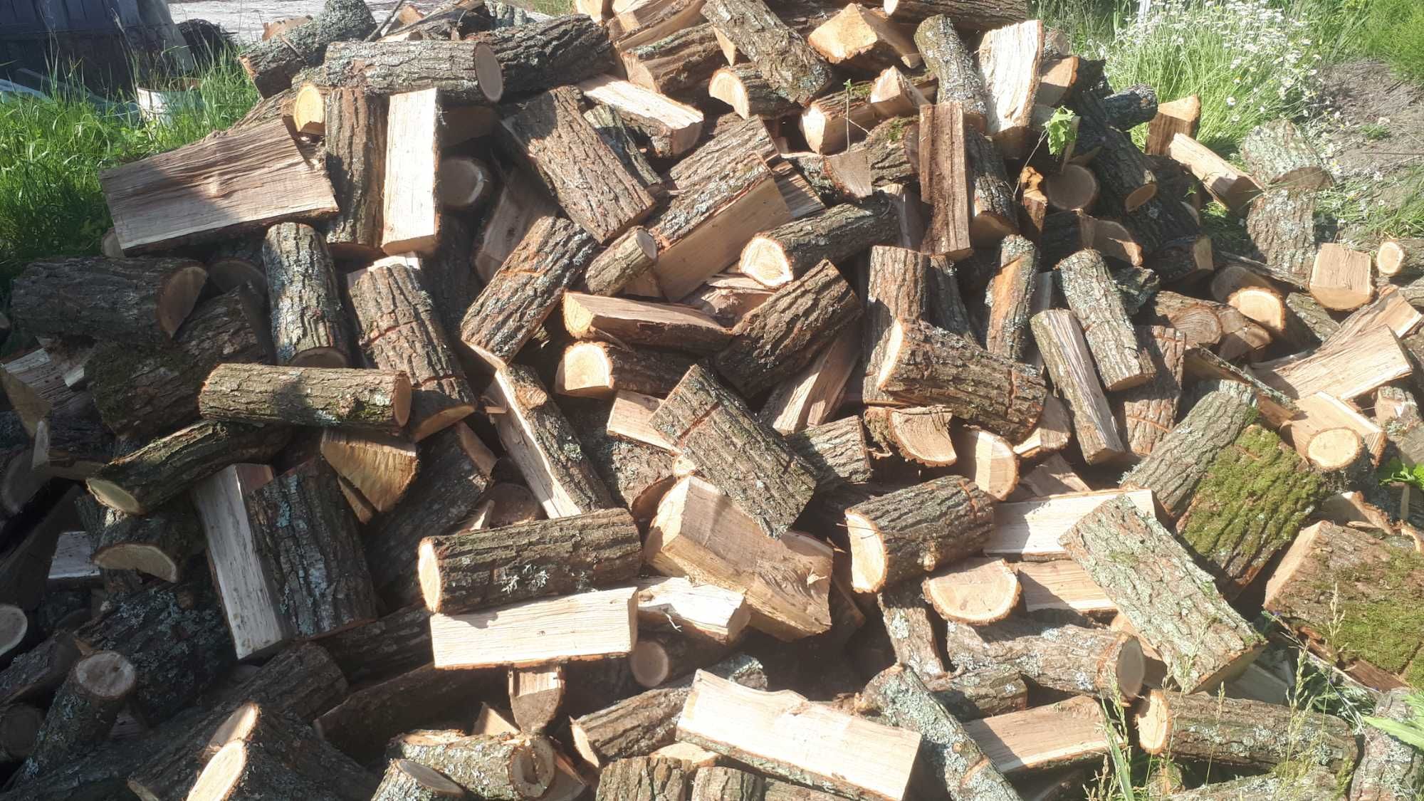 Продам дрова Сосна.  вільха з доставкою