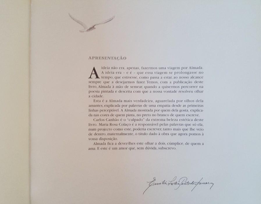 Carlos Canhão e Maria Rosa Colaço - Almada, uma gaivota no vento