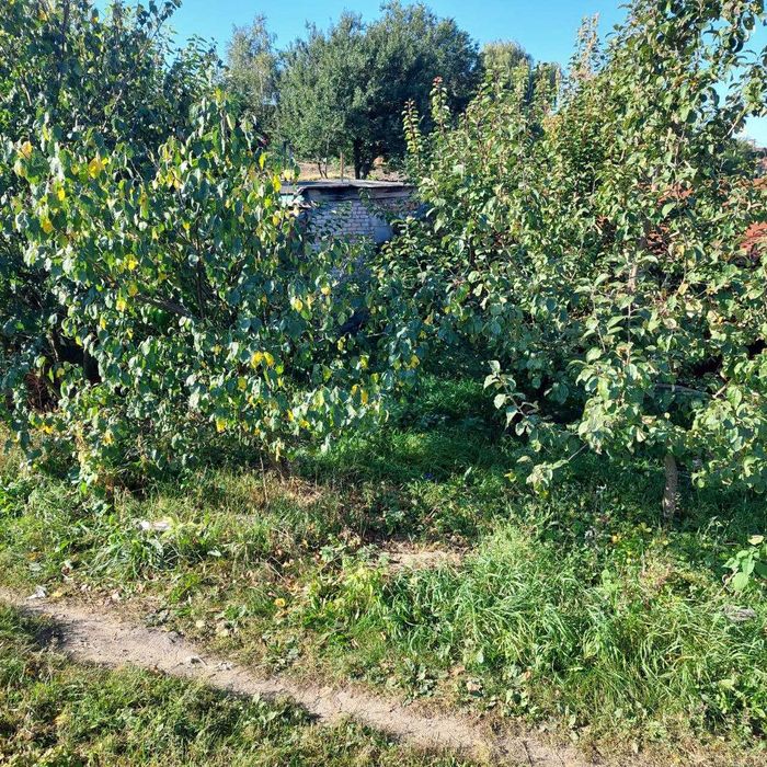 Продам гаражи - 2 разом кооператив АВТОЛЮБИТЕЛЬ вул. Героїв Крут