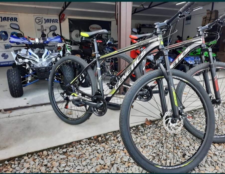 Rower Górski GENETICS rama 19" koła 29"