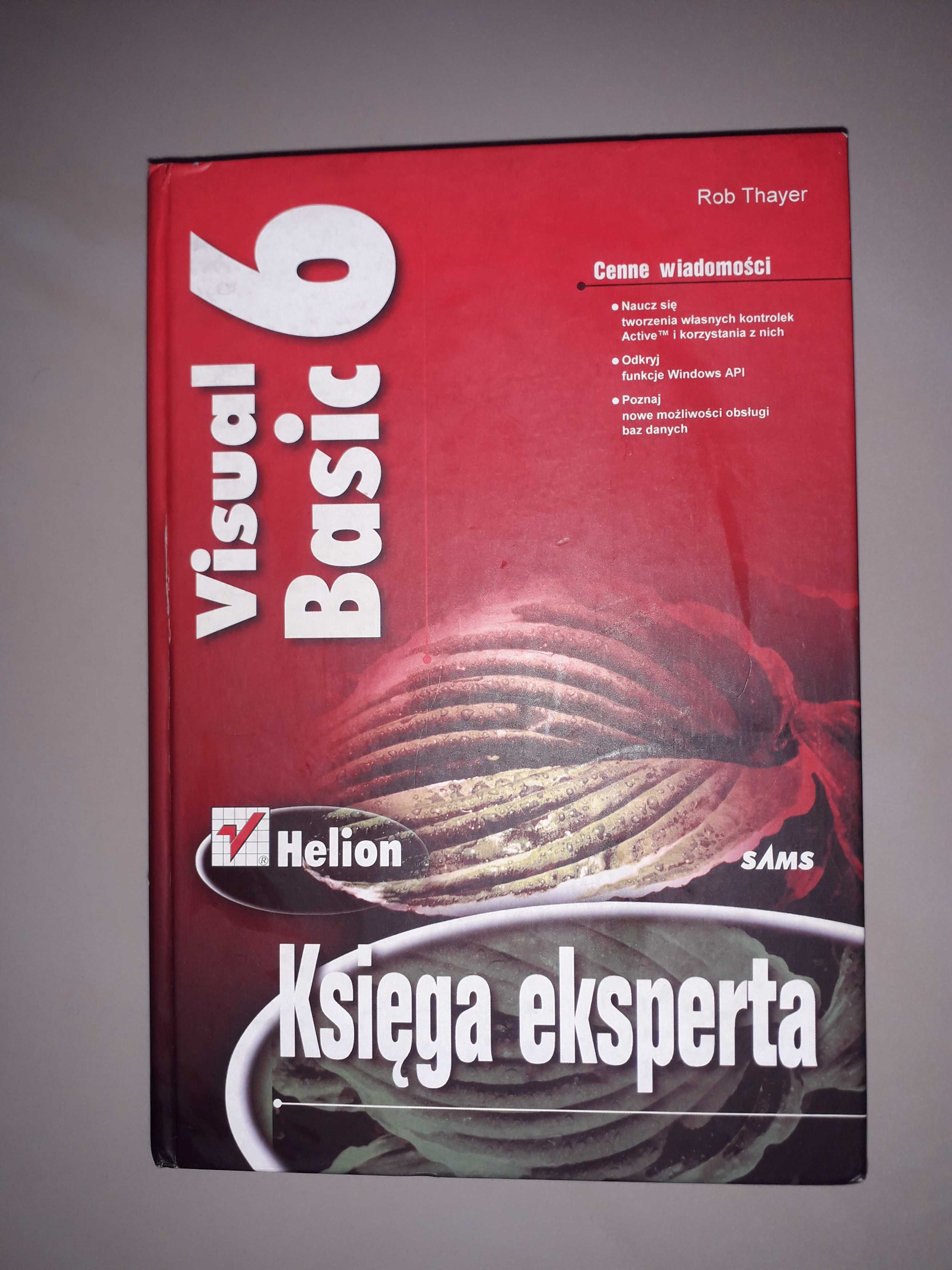 Visual Basic 6 Księga eksperta Helion Thayer